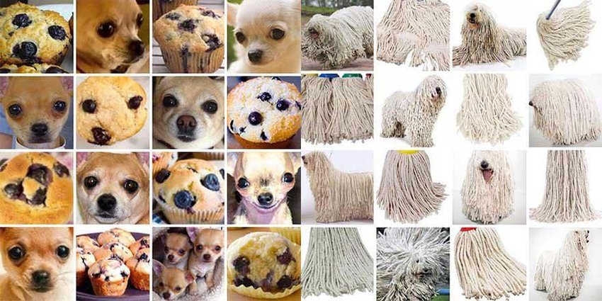 The left box contains many different pictures of blueberry muffins or close ups of the faces of tan colored chihuahuas, all of which look quite similar.  The right box contains many different pictures of the white heads of rope-type mops and Puli breed sheepdogs, which have a rope-like appearance to their fur and are white in color.