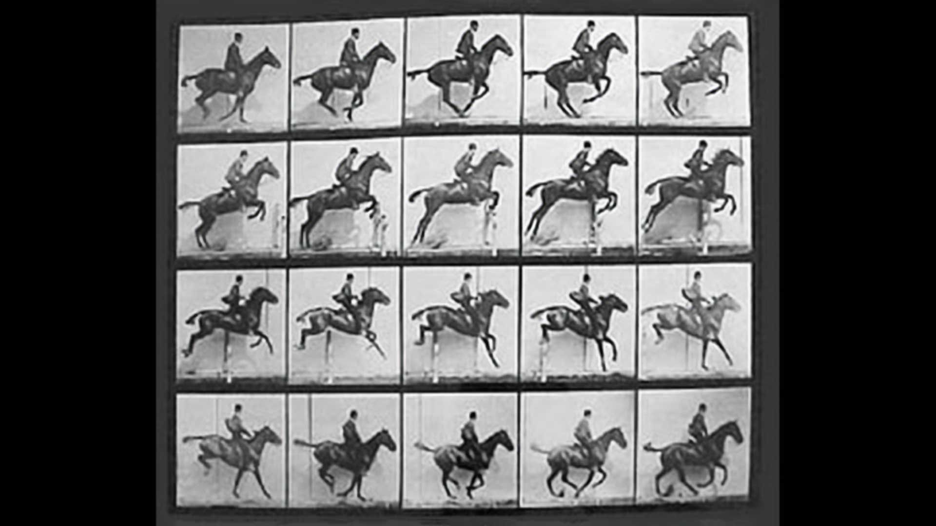The Horse in Motion - Eadweard Muybridge