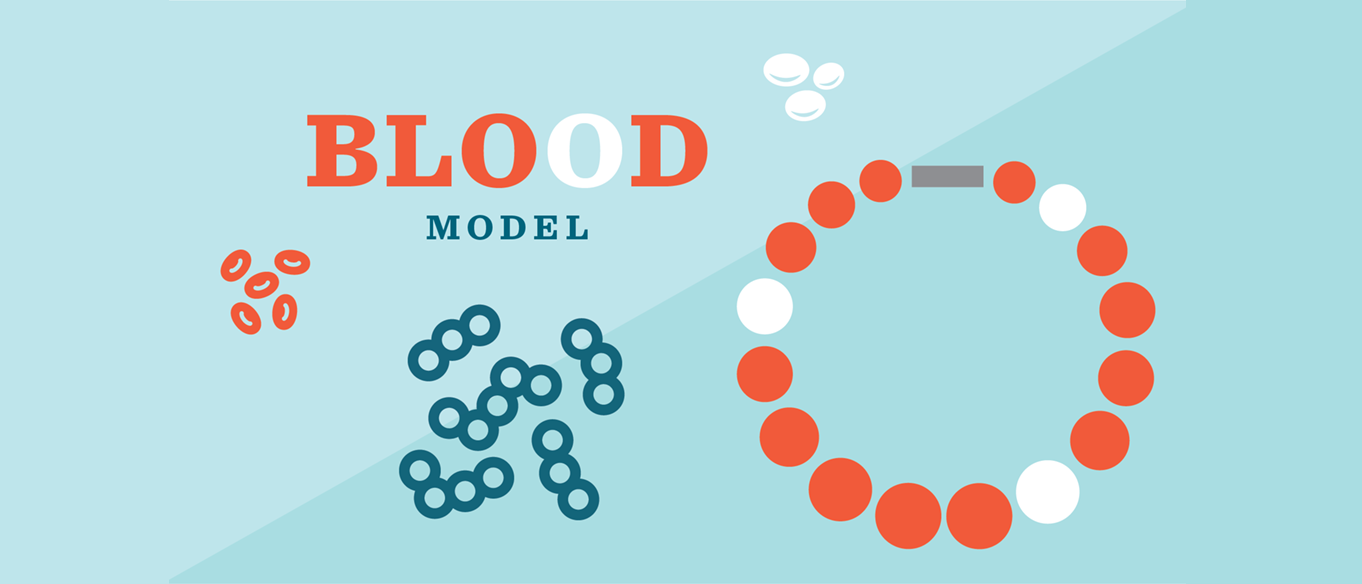Blood model science recipe