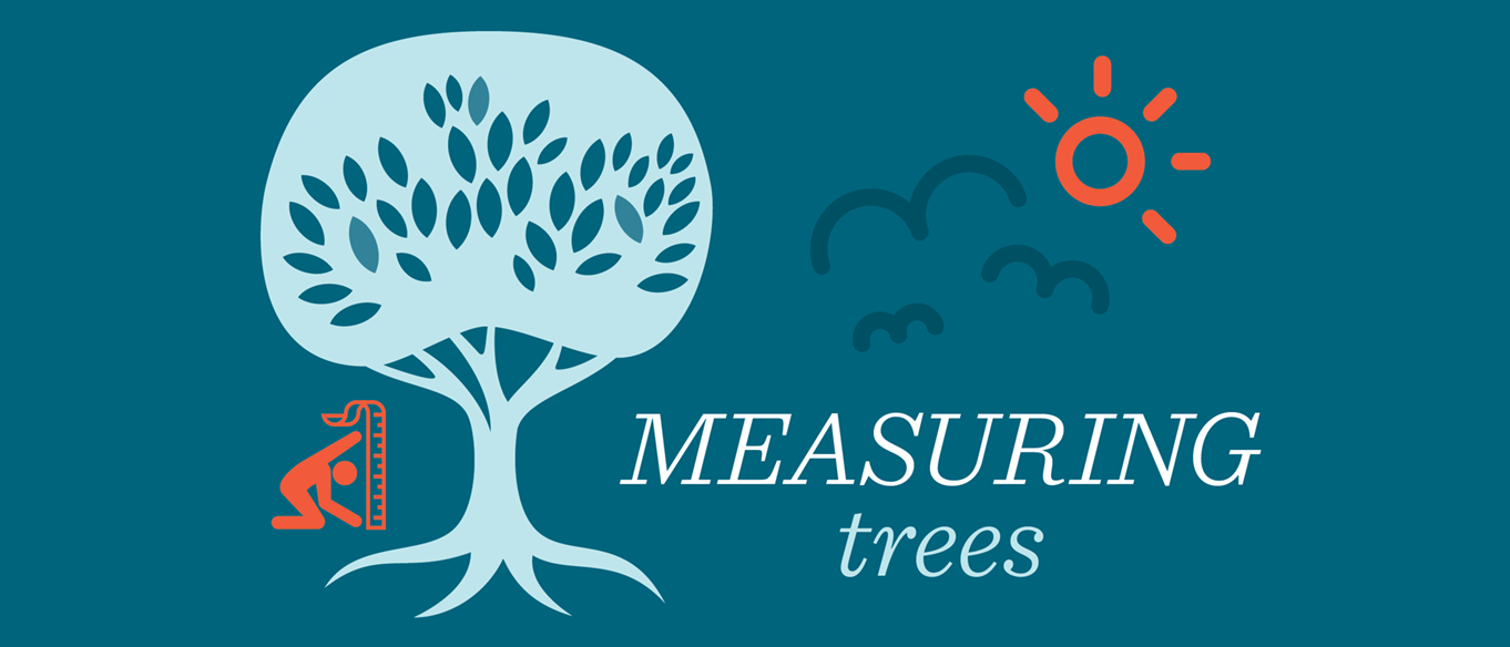 Measuring trees science recipe