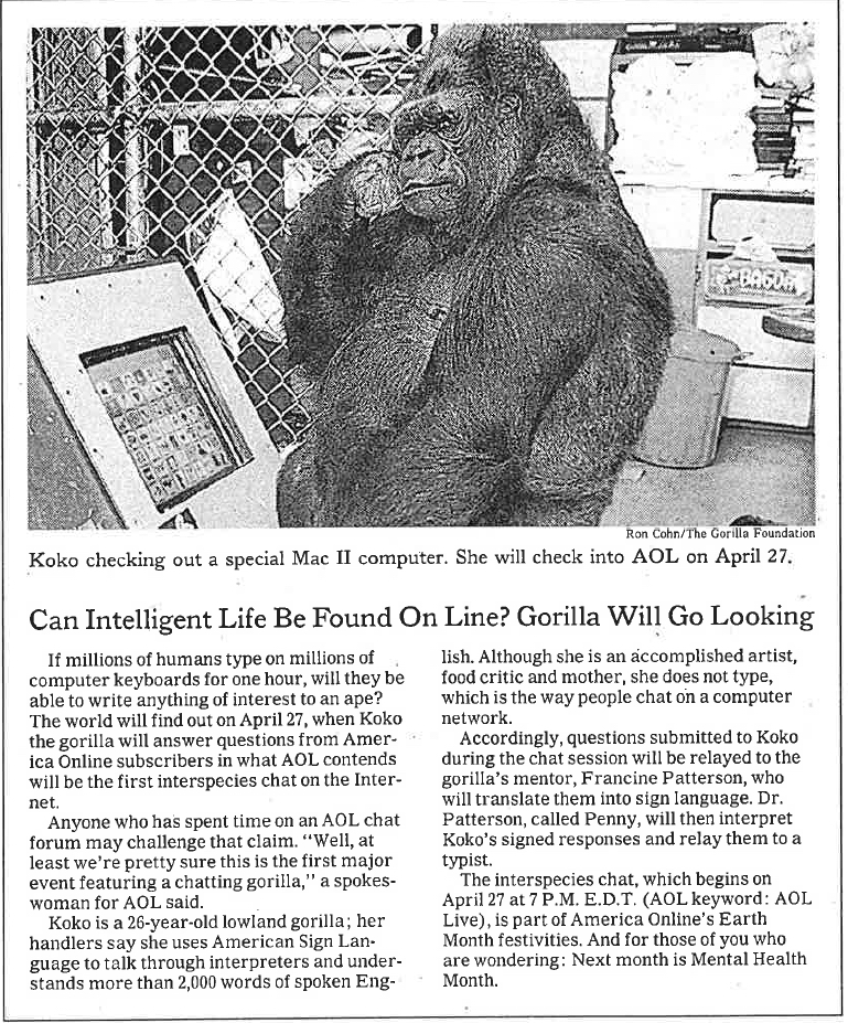 Image of an archival newspaper article about Koko the Gorilla.