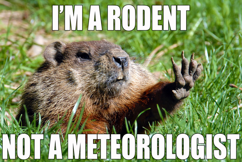 groundhog meme