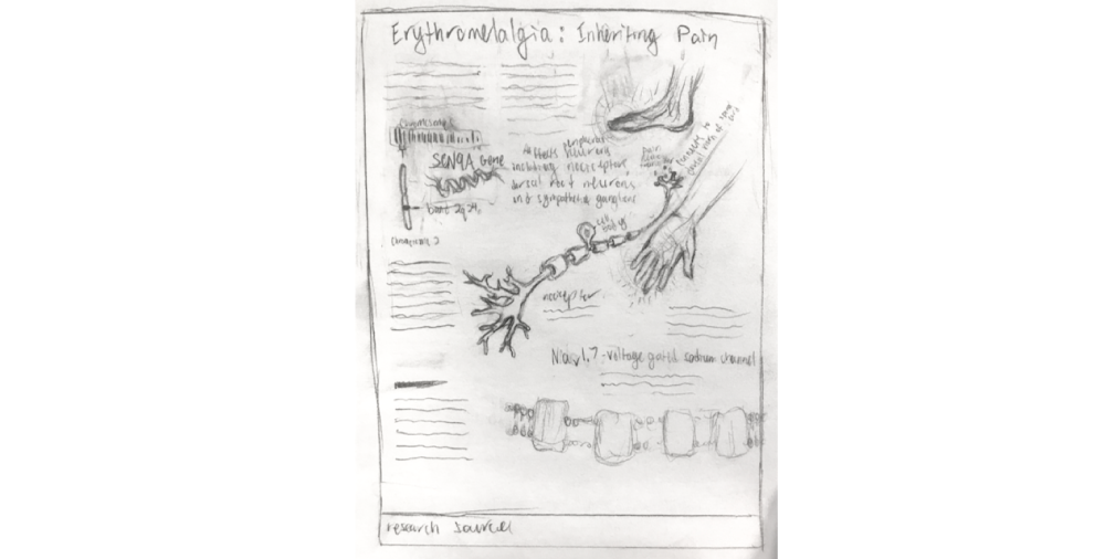 Sketch of an educational poster design and scientific illustration for erythromelalgia