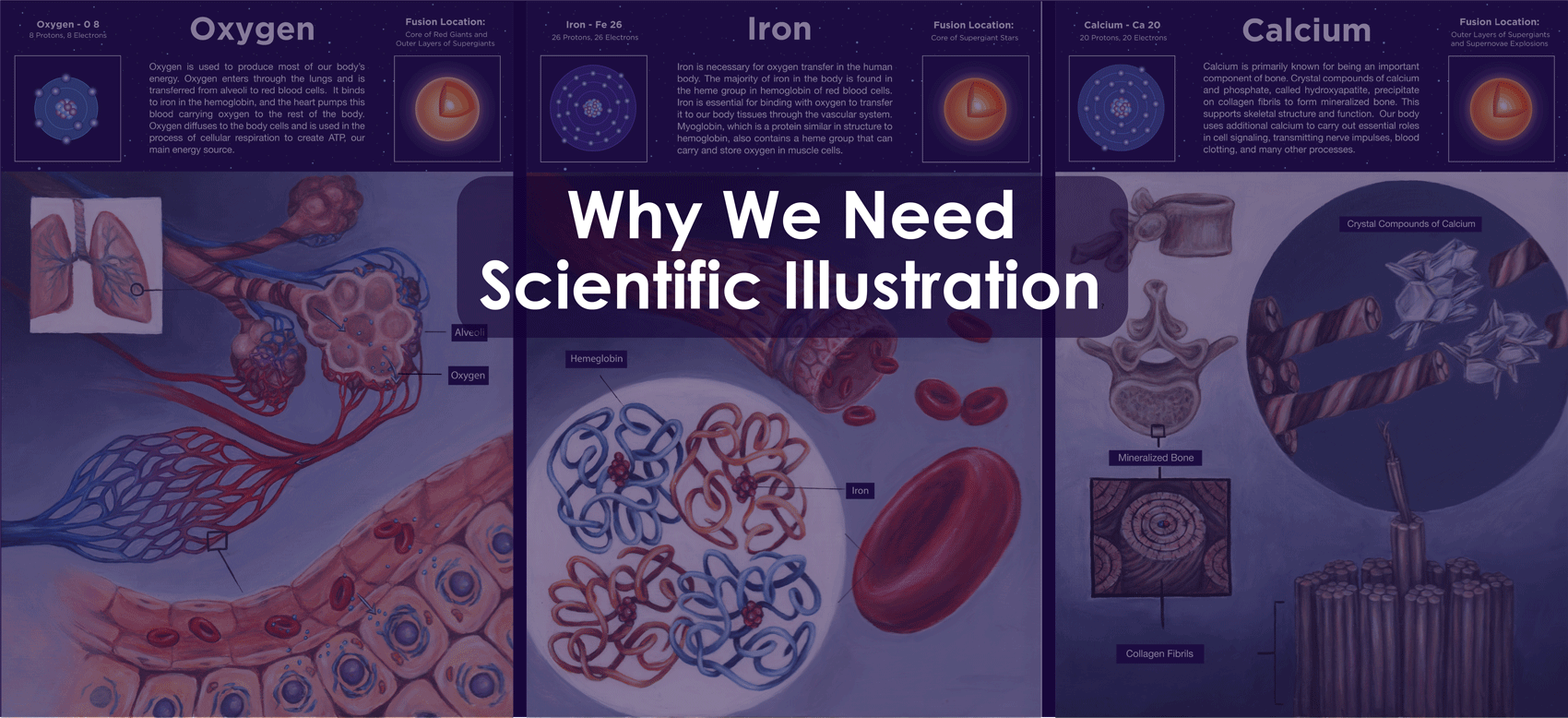 Title image reading "Why We Need Scientific Illustration" layered over illustrations of the internal human anatomy