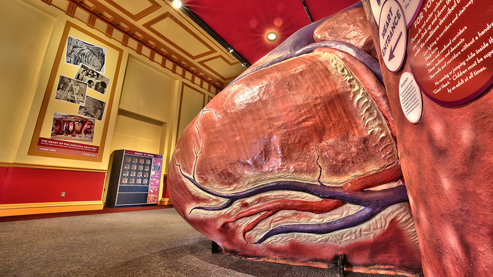 The Giant Heart at The Franklin Institute