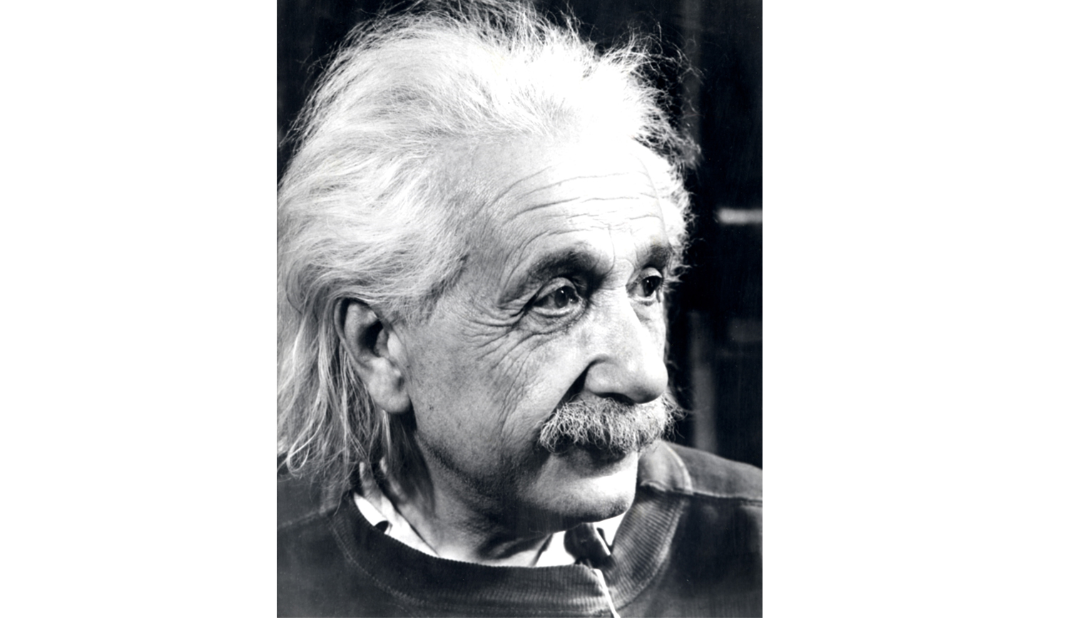 Albert Einstein Case File Headshot