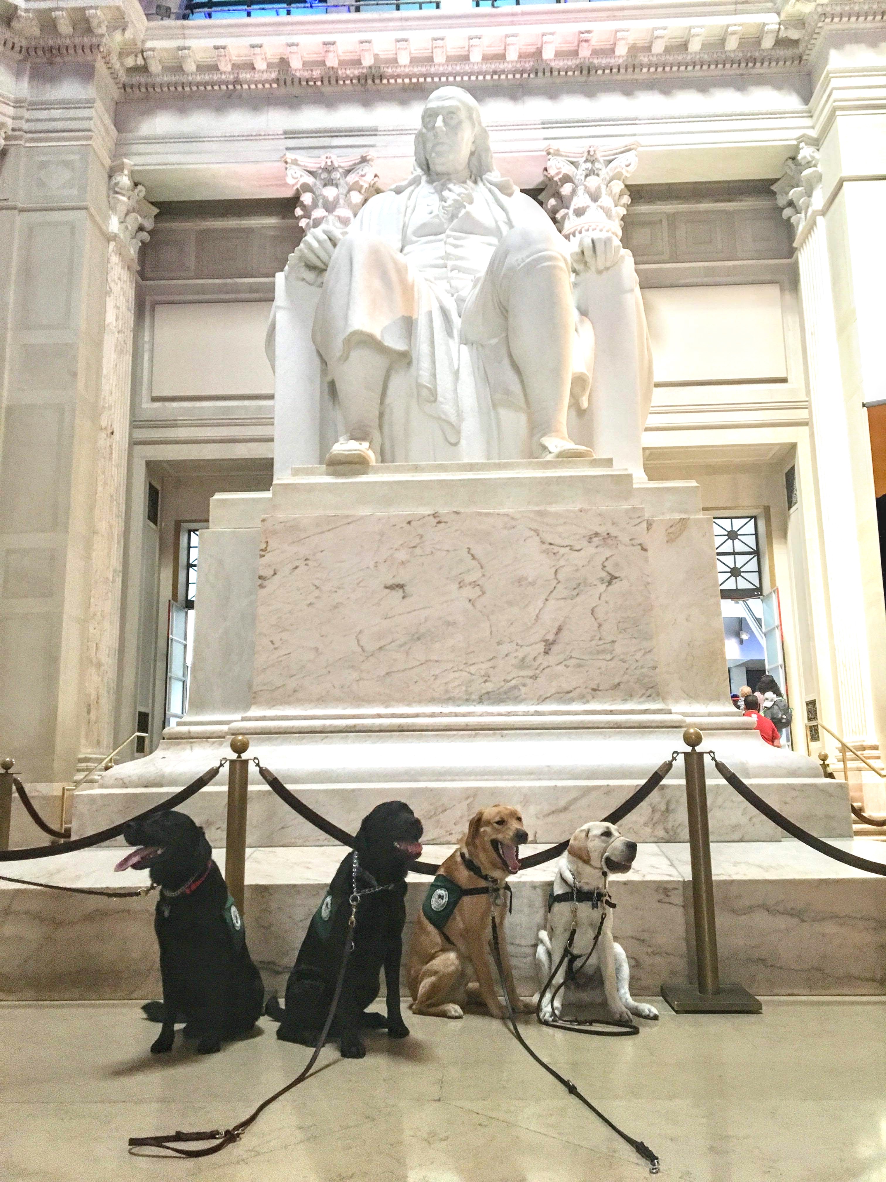 Dogs in front of the Franklin memorial
