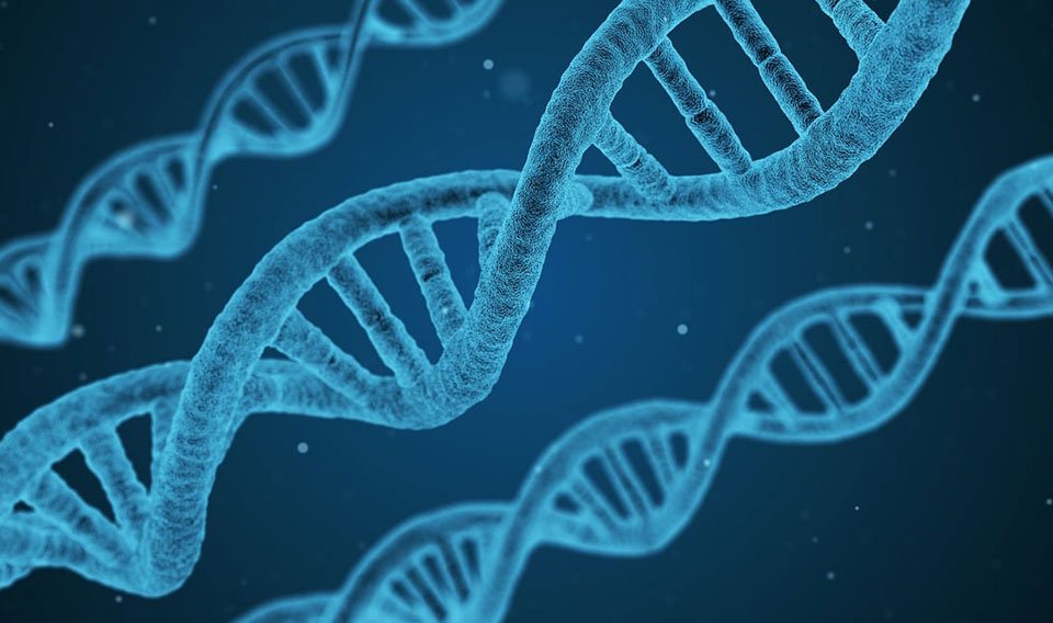 Gene Editing: What is it and how does it work?
