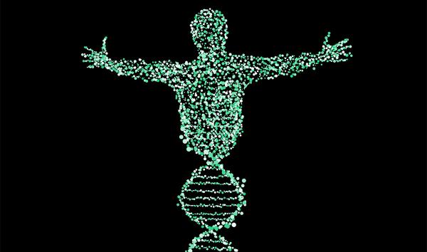 DNA in shape of human with outstretched arms