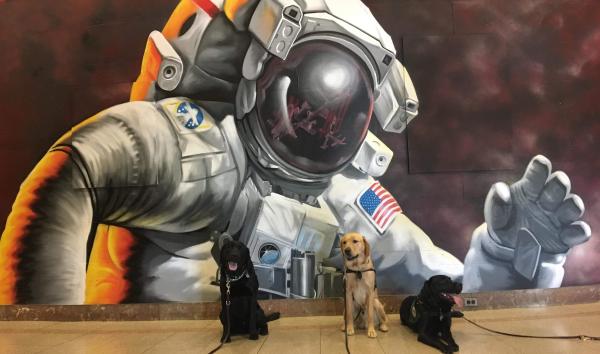 Seeing Eye Dogs in front of space mural
