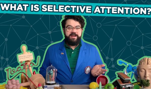 Spark of Science Selective Attention