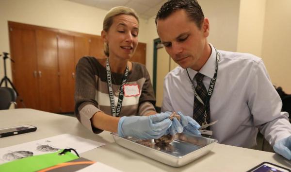 two people examining dissected frog