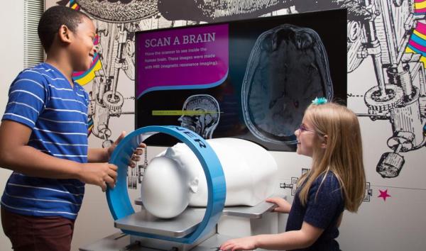 children using toy MRI to scan a brain