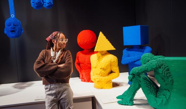 The Art of the Brick