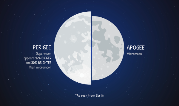 Illustrated infographic showing the difference (as seen from Earth) between perigee, when a supermoon appears, and apogee, when a micromoon appears.