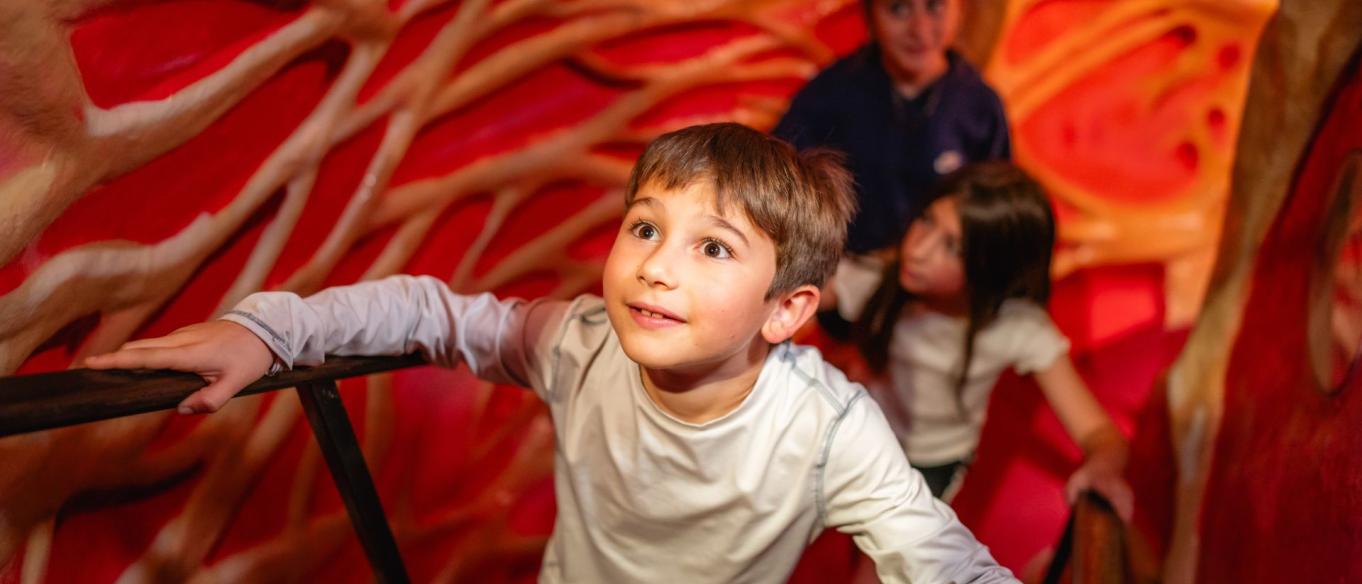 Franklin Institute Kids Heart