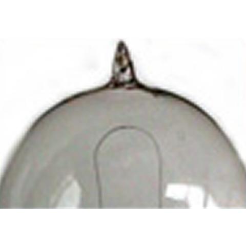 Photo of Light Bulb