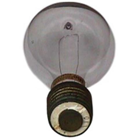 Photo of Light Bulb
