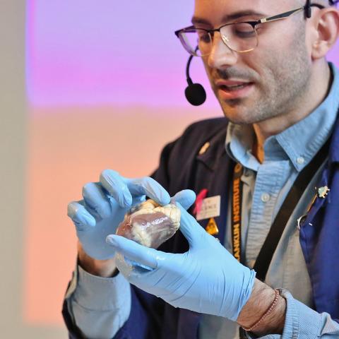 Science Presenter Dante in action