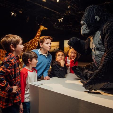 art of the brick - kids with gorilla lego