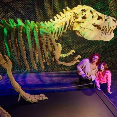 art of the brick - trex scared girl and woman