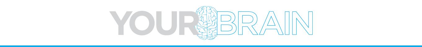Your Brain Neuroscience Curriculum Header